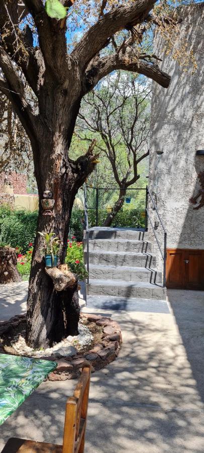 Appartement Santa Teresita à Cafayate Extérieur photo